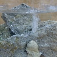 Meier Muschelkalksteine im Wasser_1